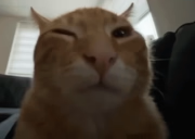 mlabdpforlsjhew Professionnel pour une haute efficacité