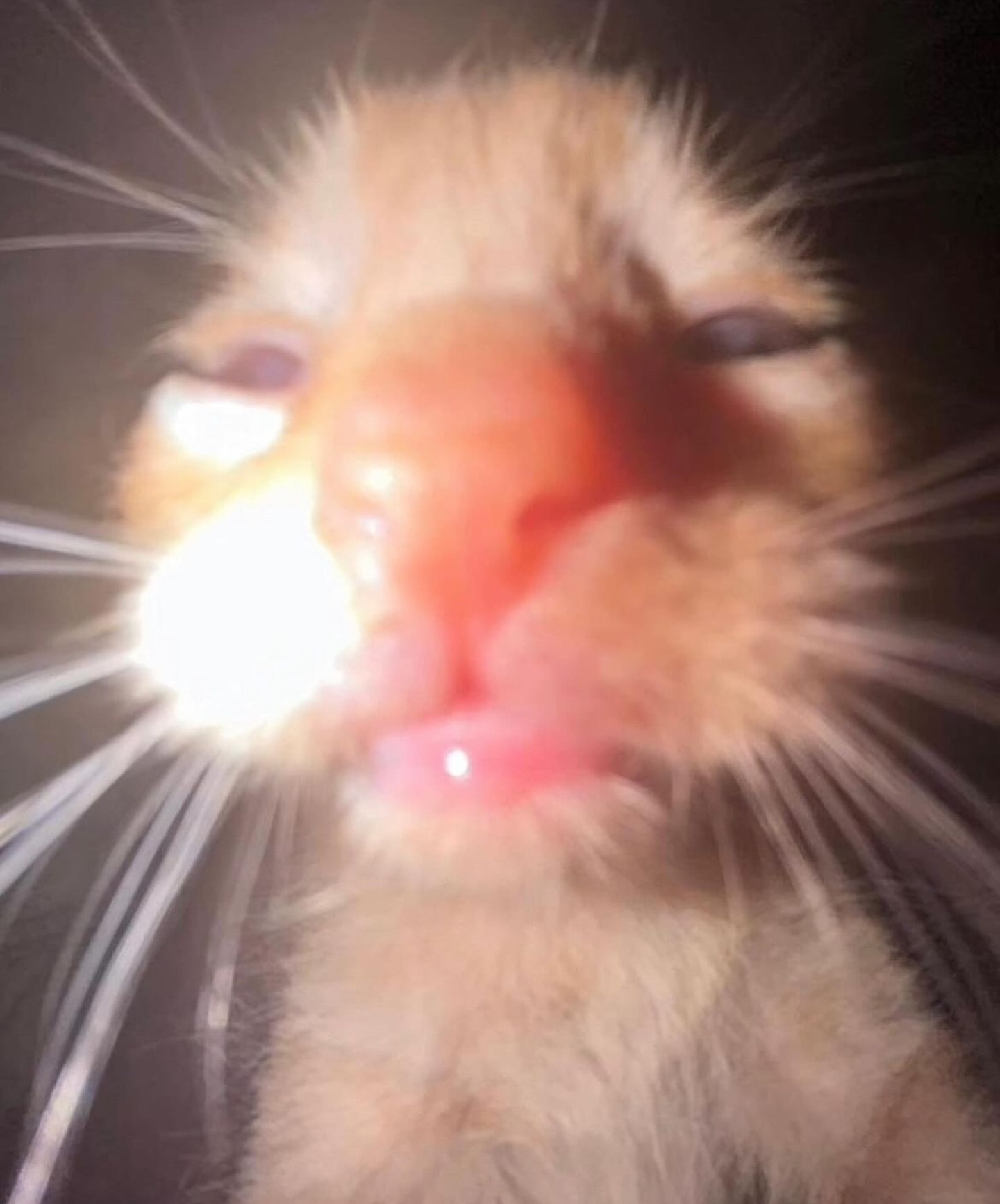 mlabdpforlsjhew Premium pour vos besoins quotidiens